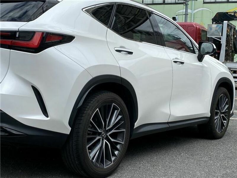 NX