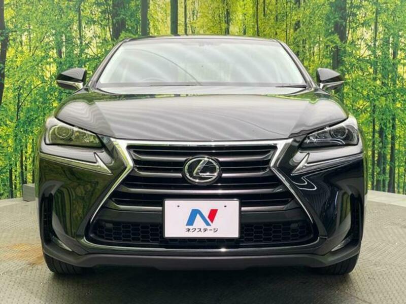 NX
