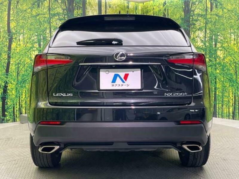 NX