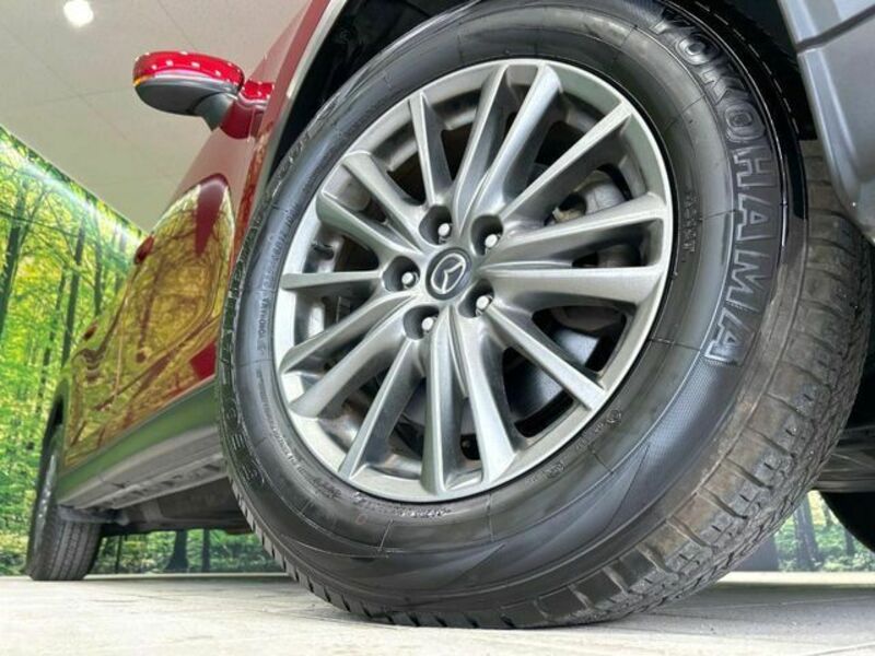 CX-8