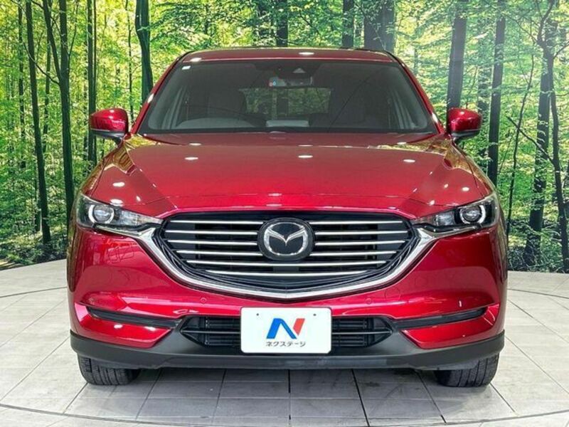 CX-8