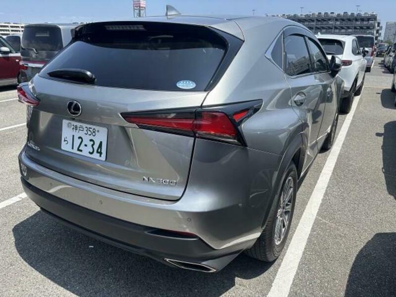 NX