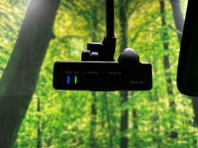 DAYZ ROOX