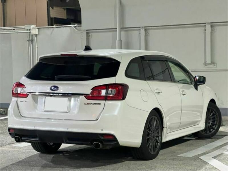 LEVORG