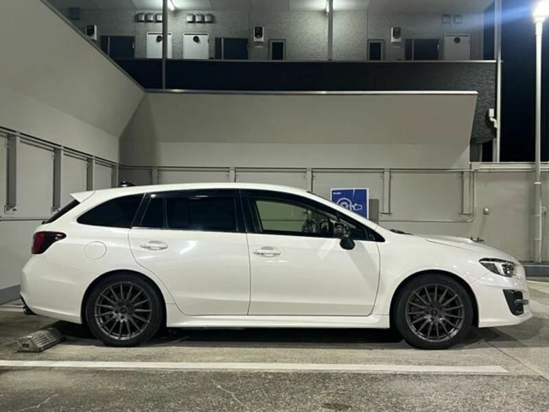 LEVORG