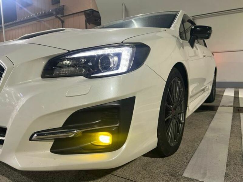 LEVORG