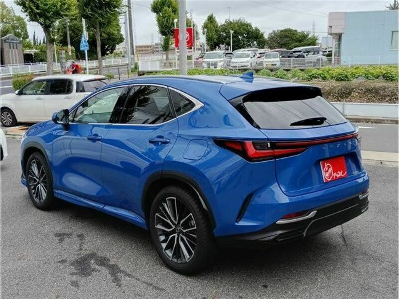 NX