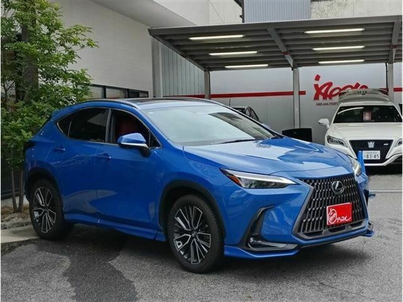 NX