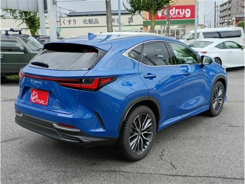NX
