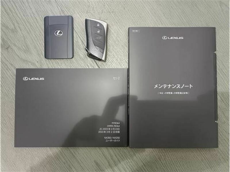 NX
