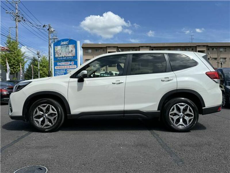 FORESTER