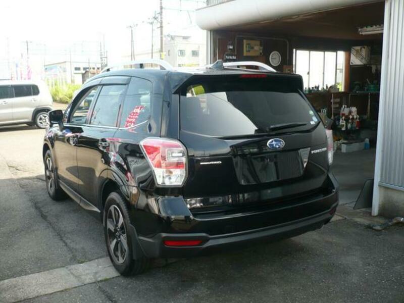 FORESTER