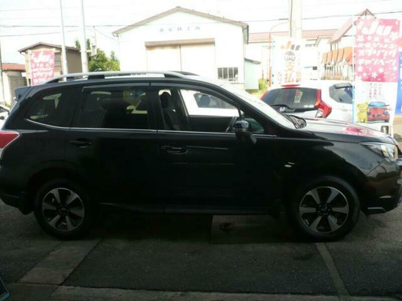 FORESTER
