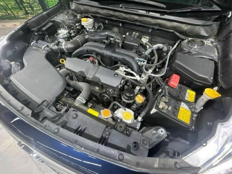 LEGACY OUTBACK