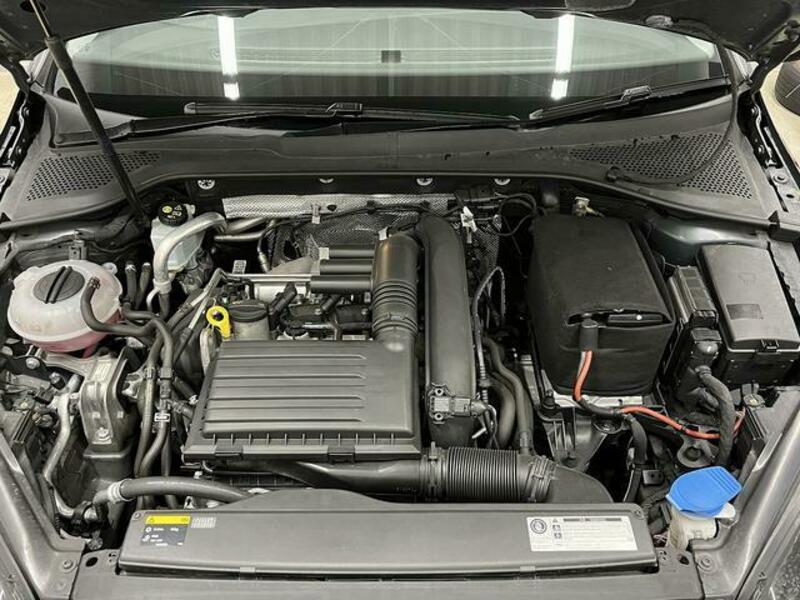 GOLF VARIANT
