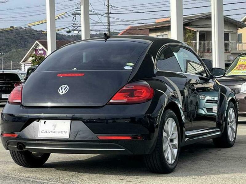 THE BEETLE