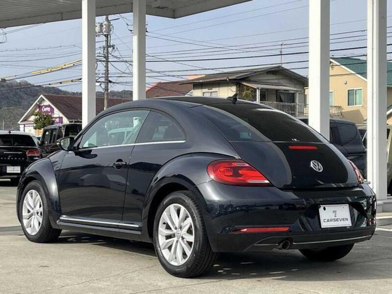 THE BEETLE