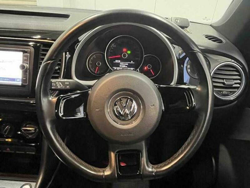 THE BEETLE