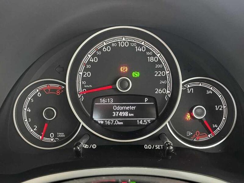 THE BEETLE