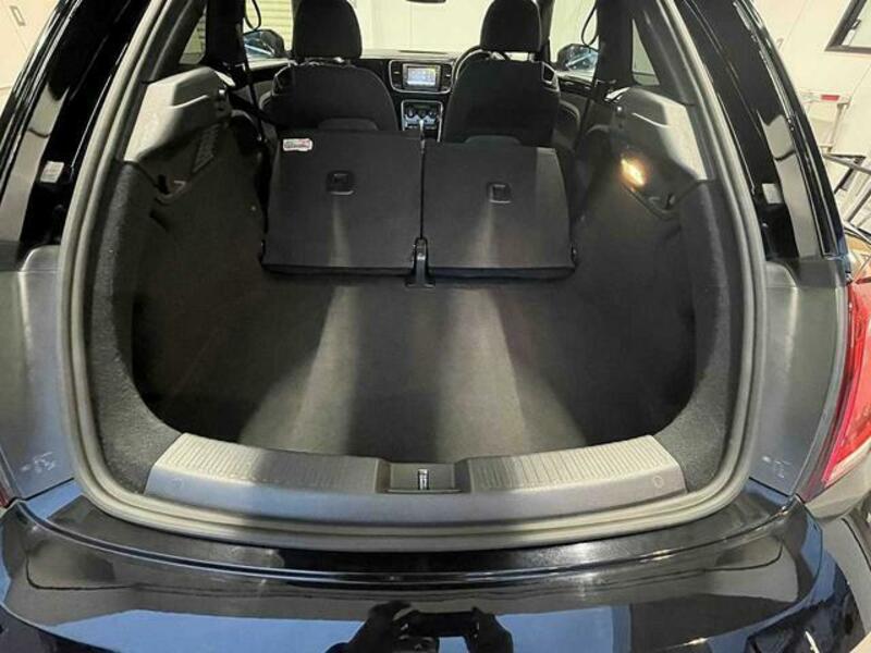 THE BEETLE