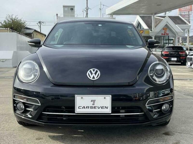 THE BEETLE