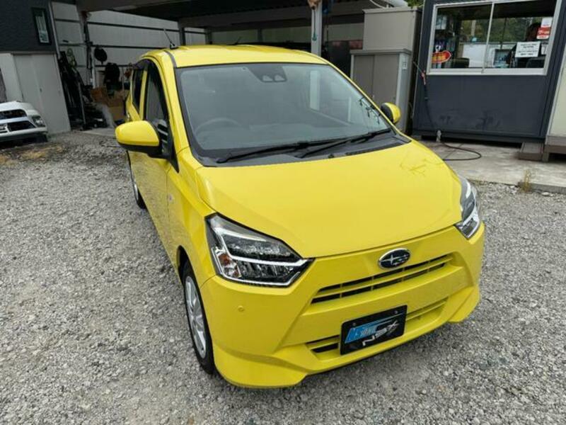 PLEO PLUS