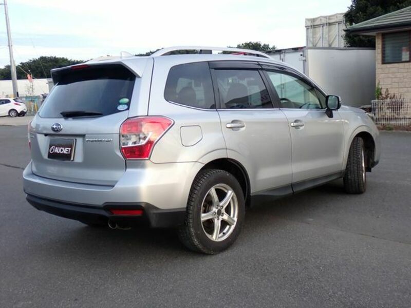 FORESTER