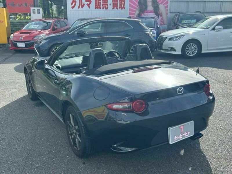 ROADSTER