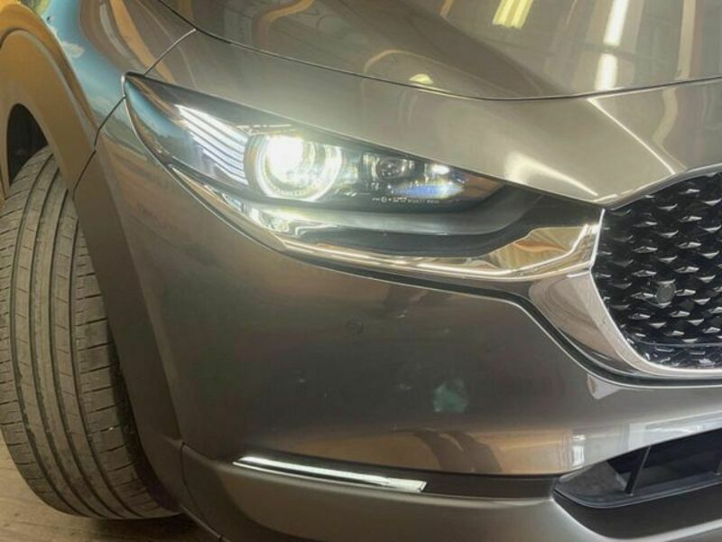 CX-30