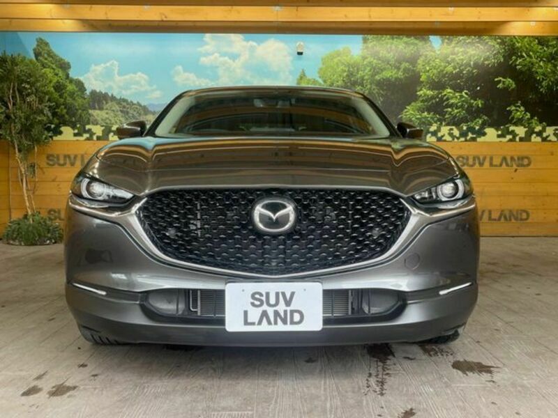 CX-30