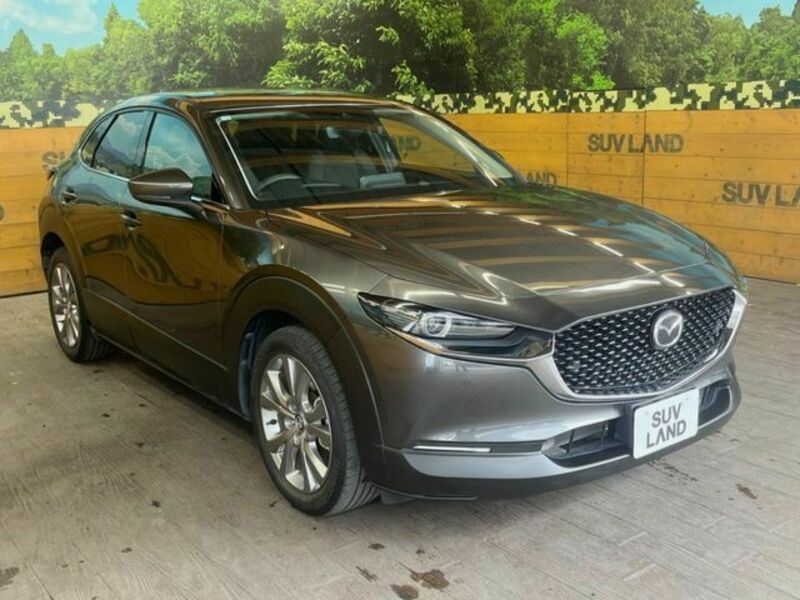 CX-30