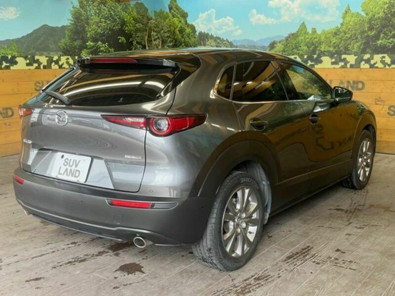 CX-30