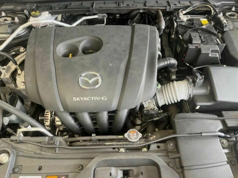 CX-30
