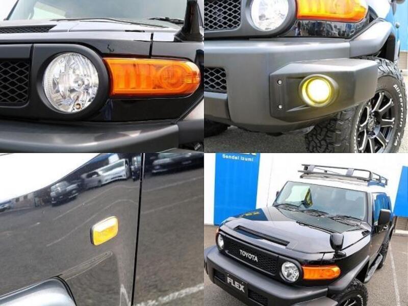 FJ CRUISER