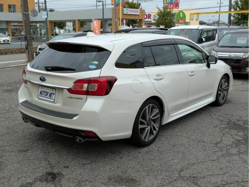 LEVORG