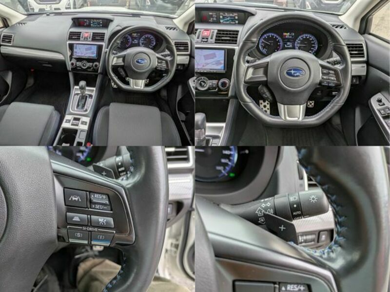 LEVORG