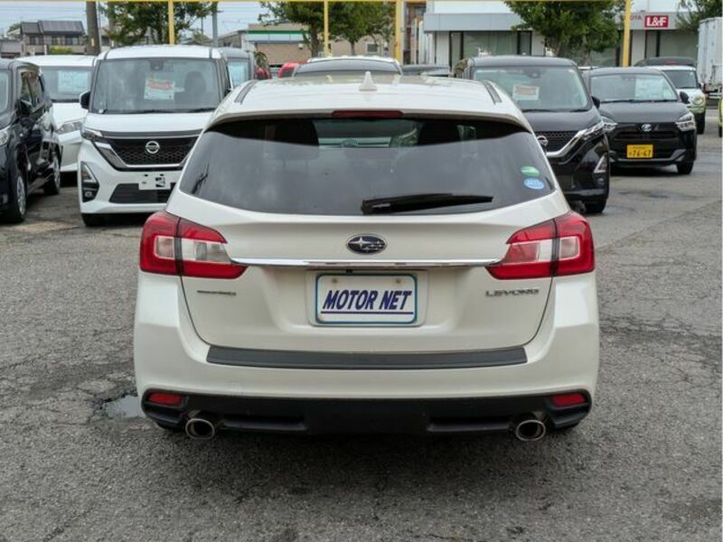 LEVORG