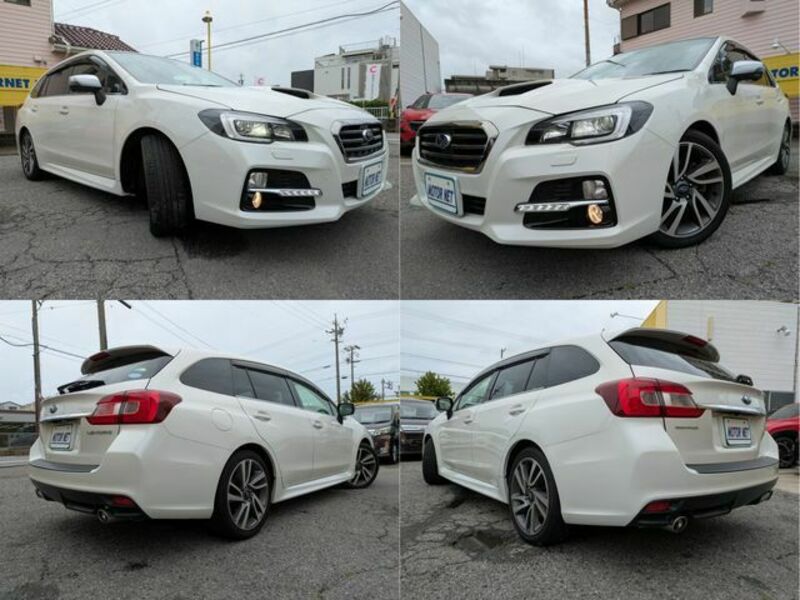LEVORG