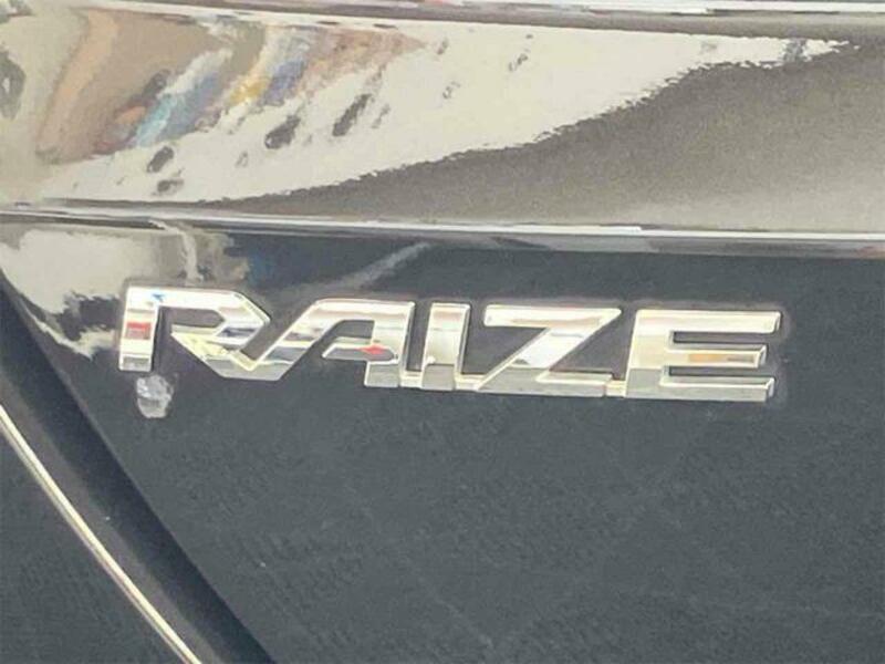 RAIZE