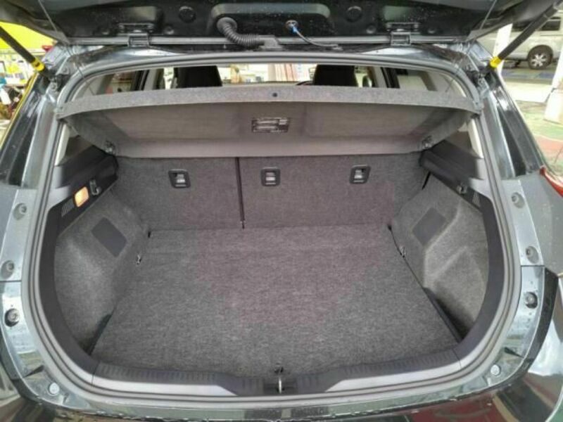 AURIS