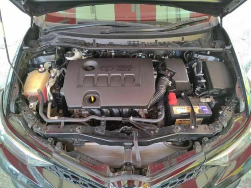 AURIS