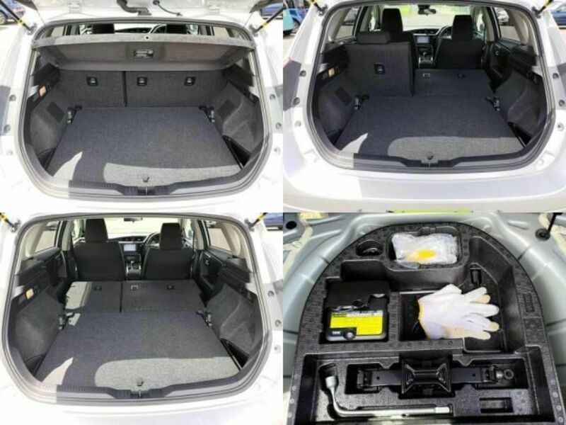 AURIS