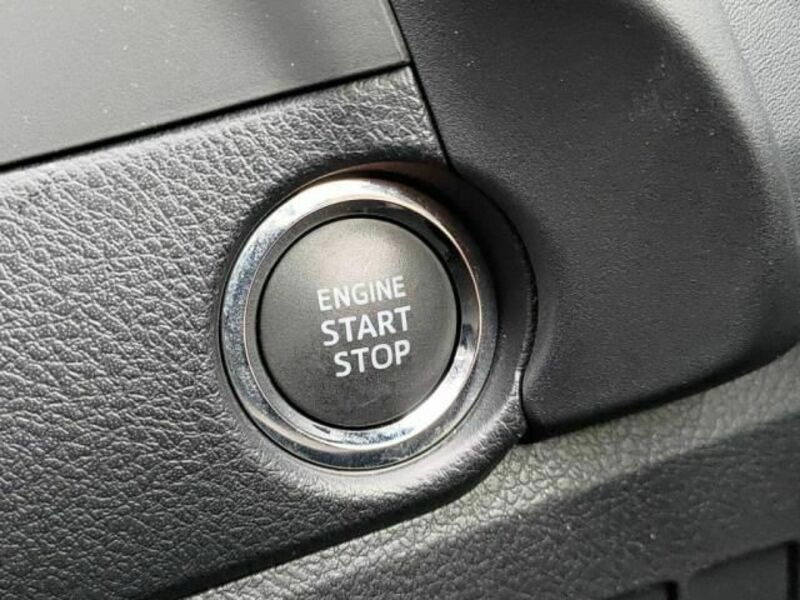 AURIS