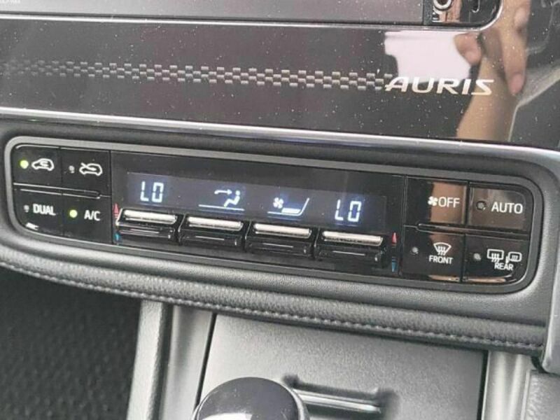AURIS