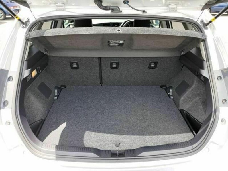 AURIS