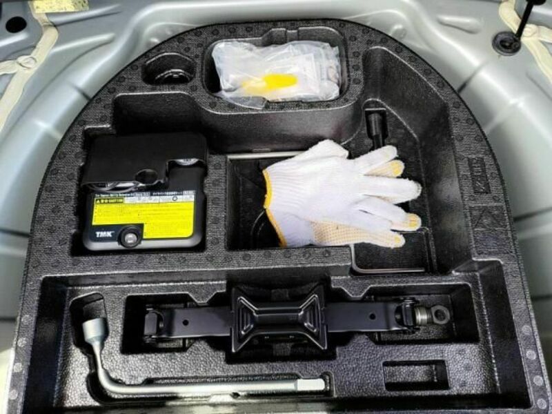 AURIS