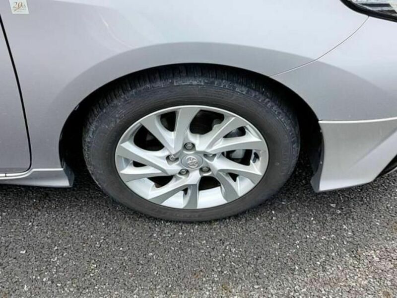 AURIS