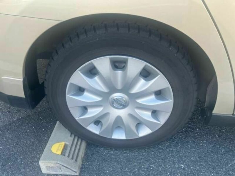 BLUEBIRD SYLPHY