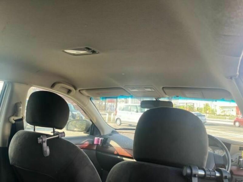 BLUEBIRD SYLPHY