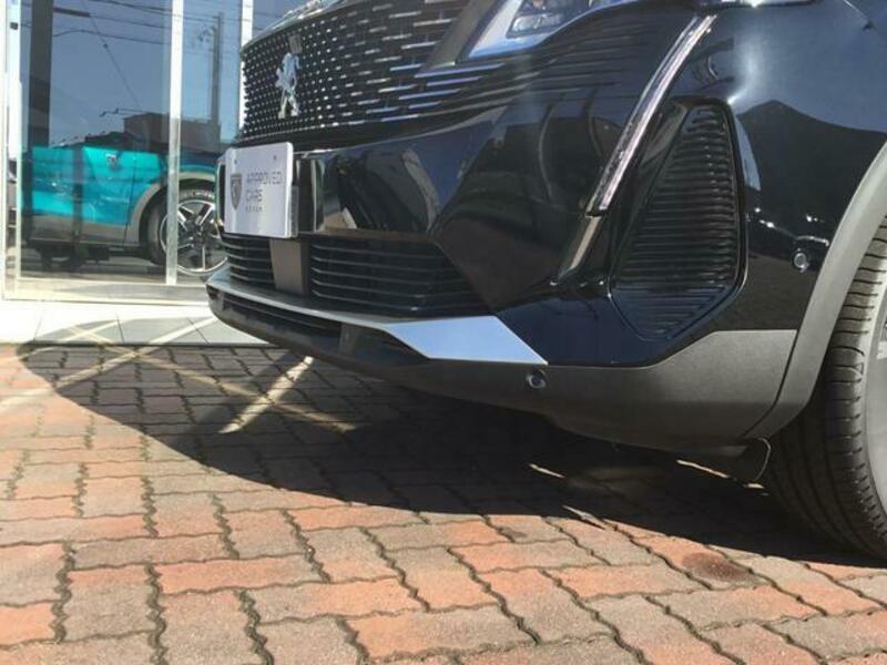 3008